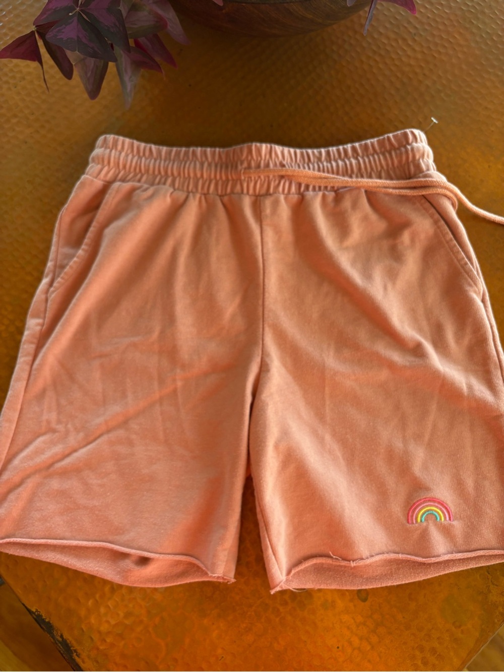 No Boundaries Peach Orange Lounge Shorts Sweat Shorts with Rainbow Pride?